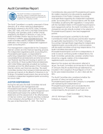 - Audit Committee Report